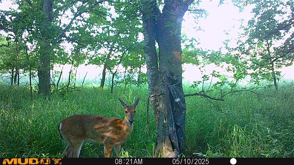 Mill Creek Landing - Land