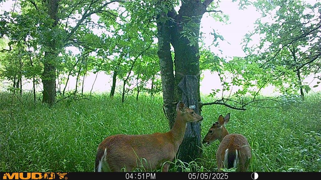 Mill Creek Landing - Land