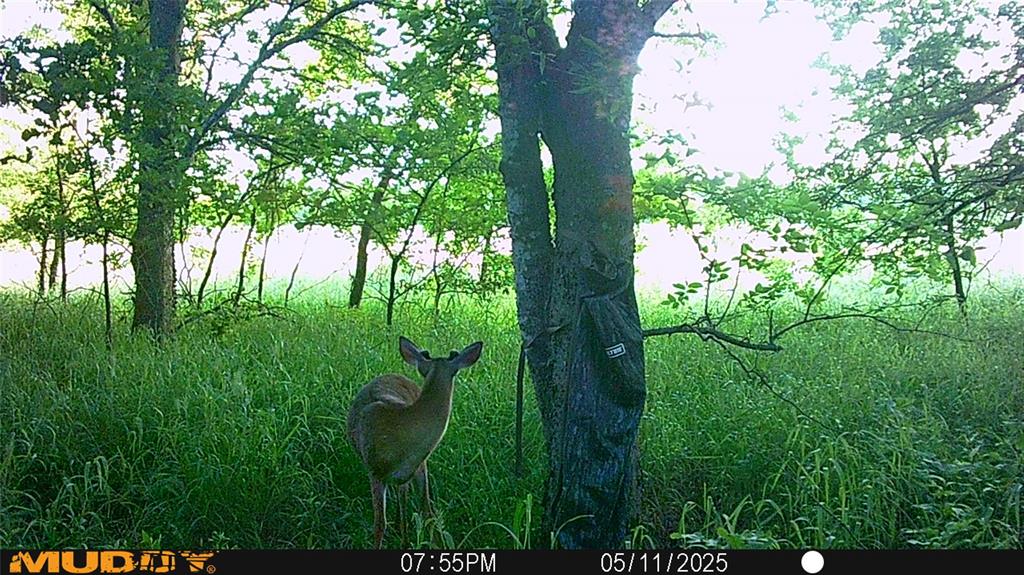 Mill Creek Landing - Land