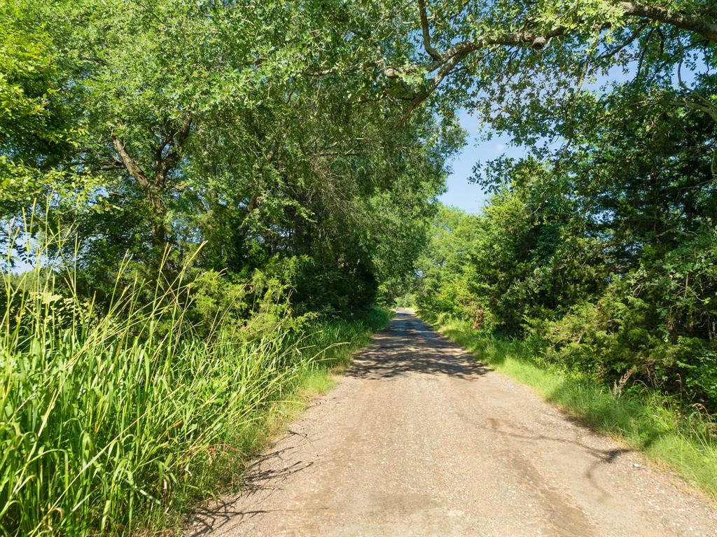 259 COUNTY ROAD 44880