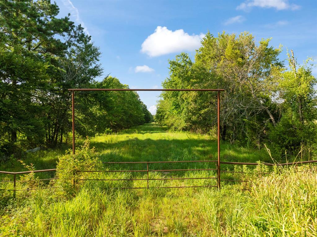 259 COUNTY ROAD 44880