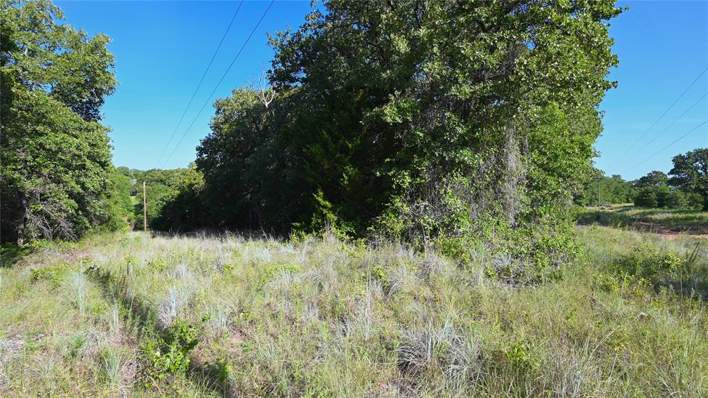 TBD 1 Cobb Hollow Road
