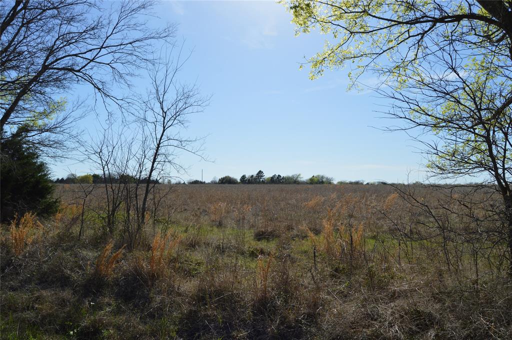 TBD Lot 3 RS County Road 1520