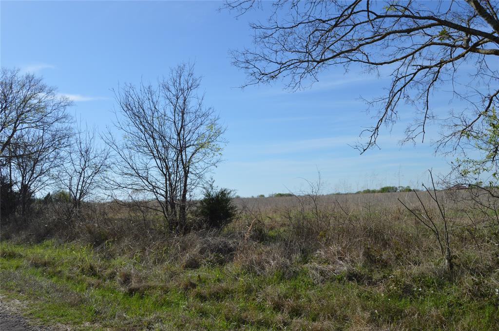 TBD Lot 3 RS County Road 1520