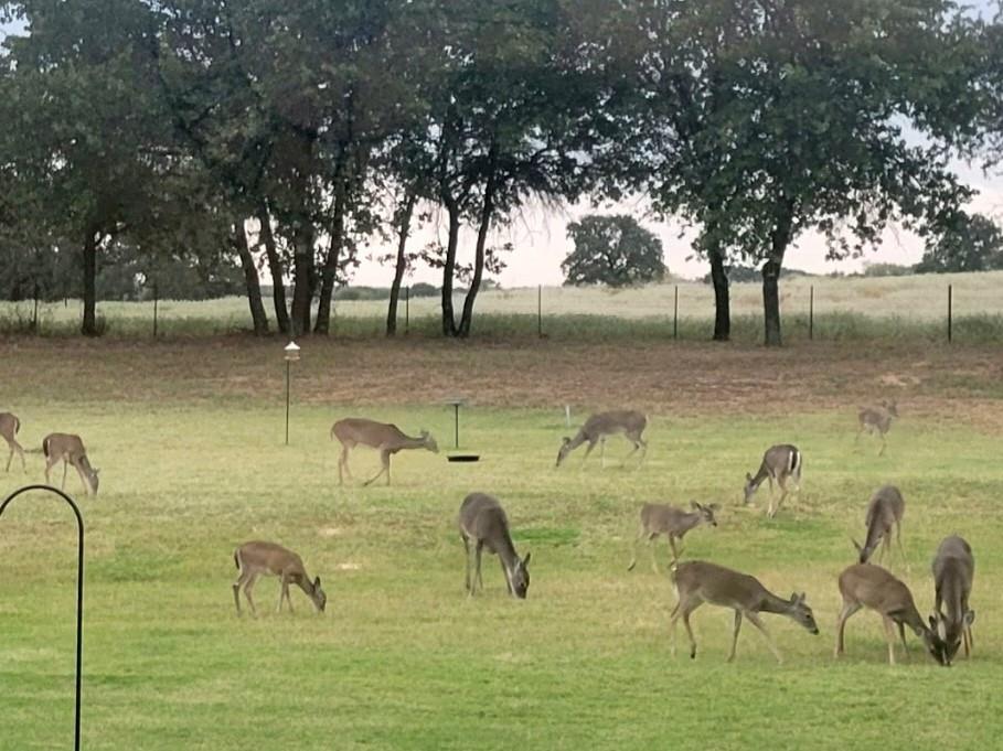 The Reserve At Shadle - Residential