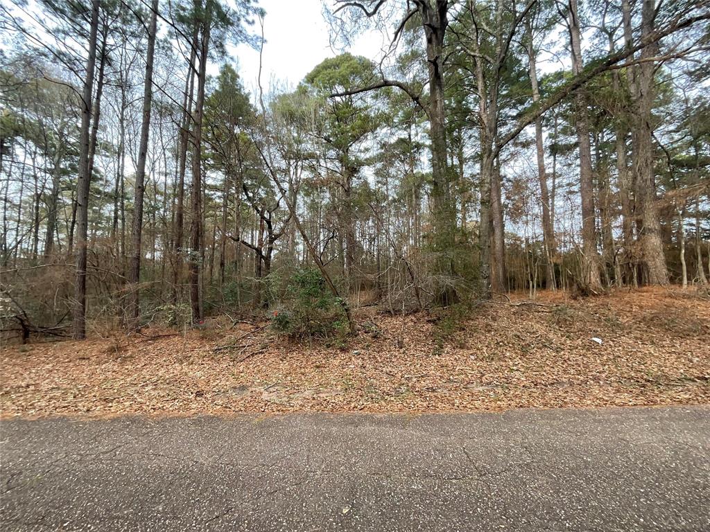 Shreveport, Louisiana 71119, United States, ,Land,Pending,18154