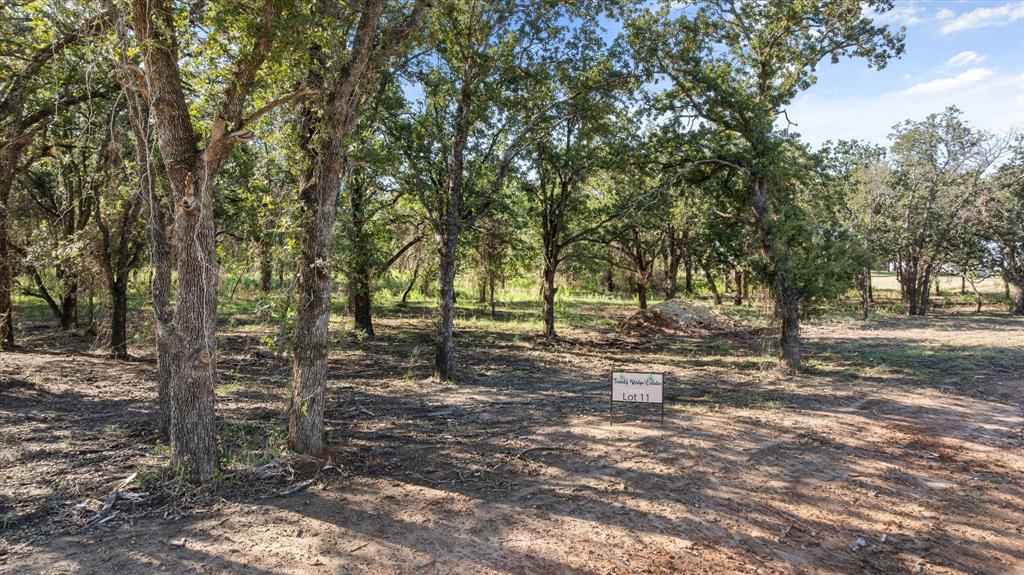 Lot #11 Trinity Ridge Drive