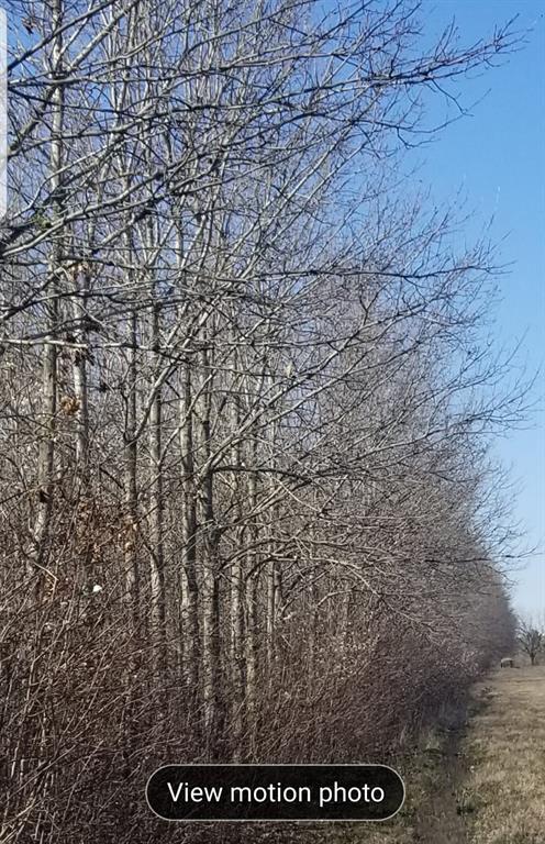 Hancock Ranch Estates - Land