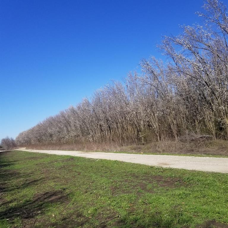 Hancock Ranch Estates - Land