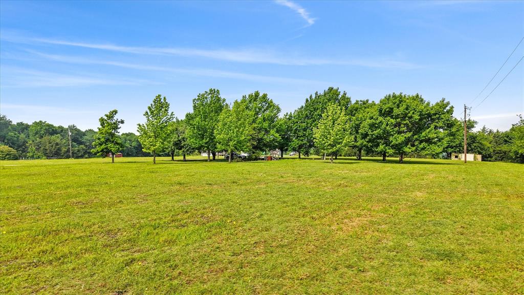 George Goodman - Land