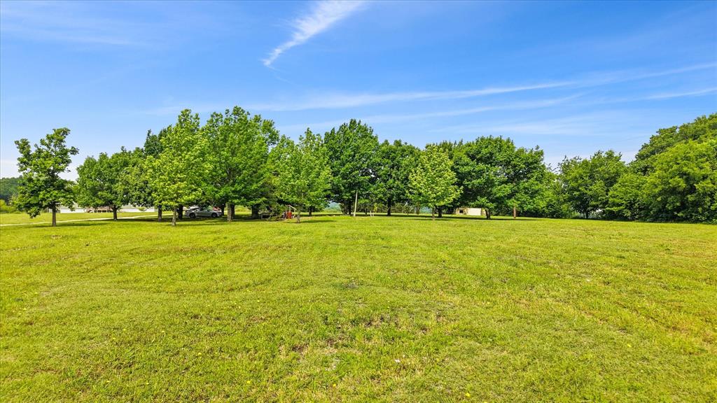 George Goodman - Land