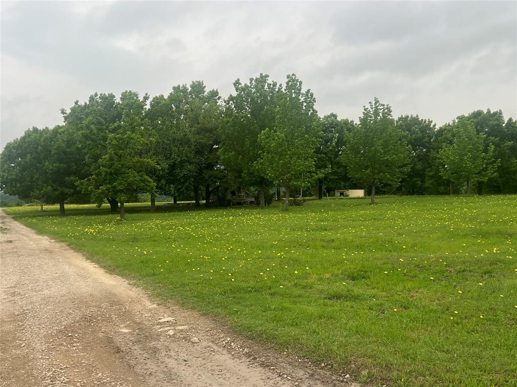 George Goodman - Land