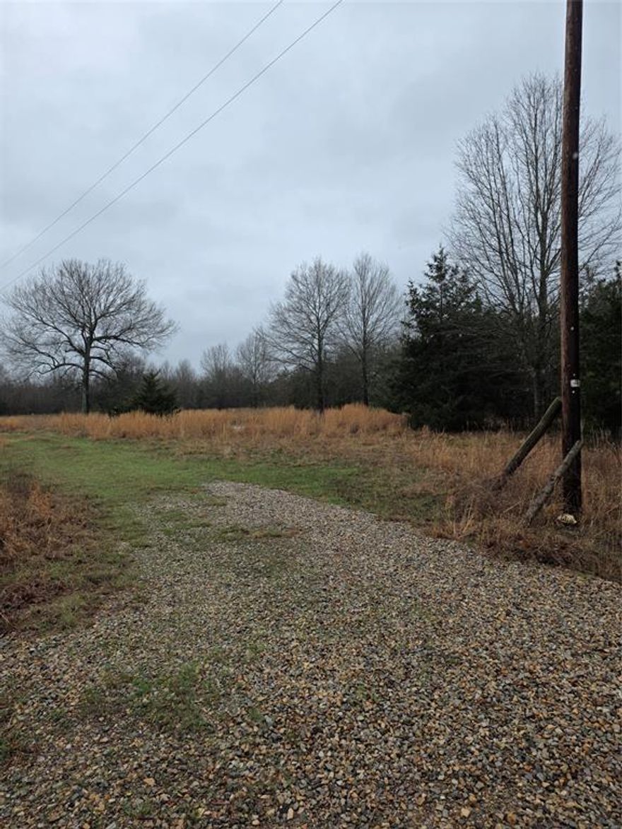 Great piece of property for building.  Trailer house of no value.  Nice place to hunt and fish. Small stocked pond.
