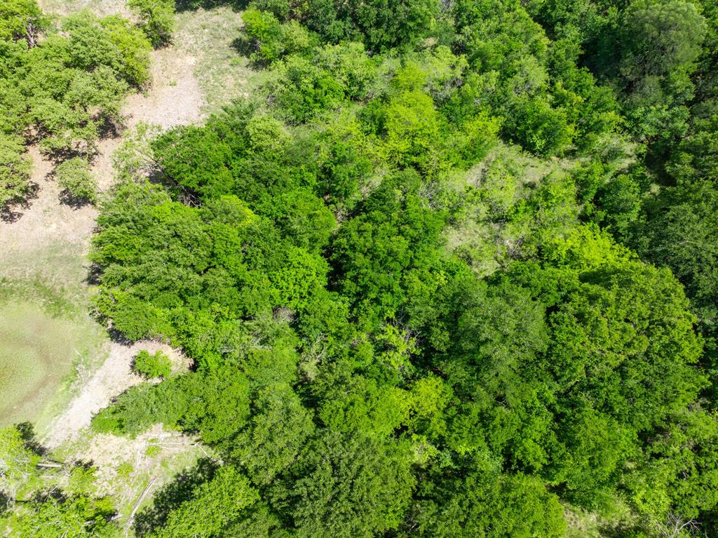 Hill Prairie Estates - Land