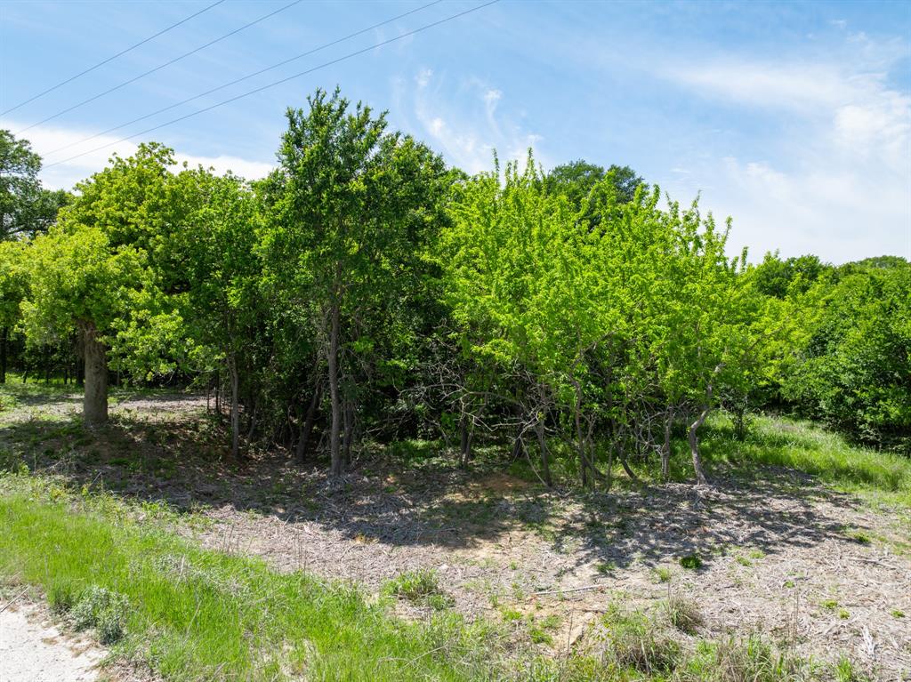 Hill Prairie Estates - Land