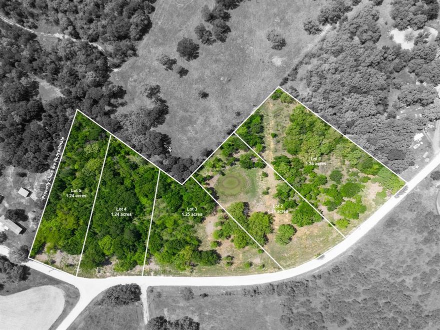 Five 1.2-acre unrestricted lots on HCR 1313. Ready for a custom home, barndominium, or manufactured home. No HOA and no restrictions. Owner financing available. Conveniently located just outside Hillsboro, approximately 45 minutes to Waco and about an hour to Fort Worth.