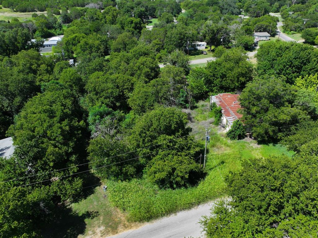 4206 Cree Trail