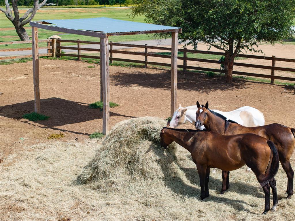 Prestonwood Polo & Country Club - Land