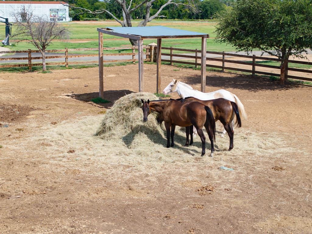 Prestonwood Polo & Country Club - Land