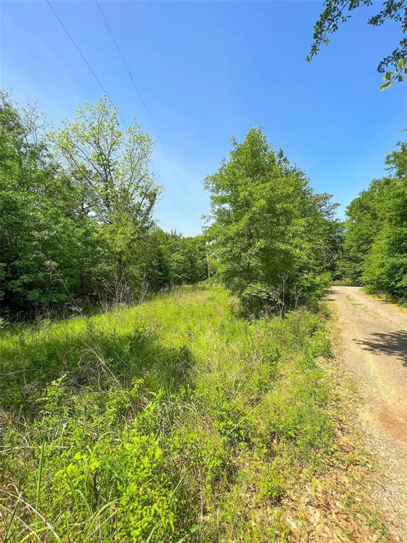 TBD Fm-195 / CR 2456