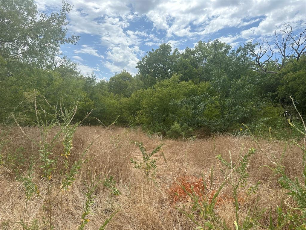 James A Curry - Land