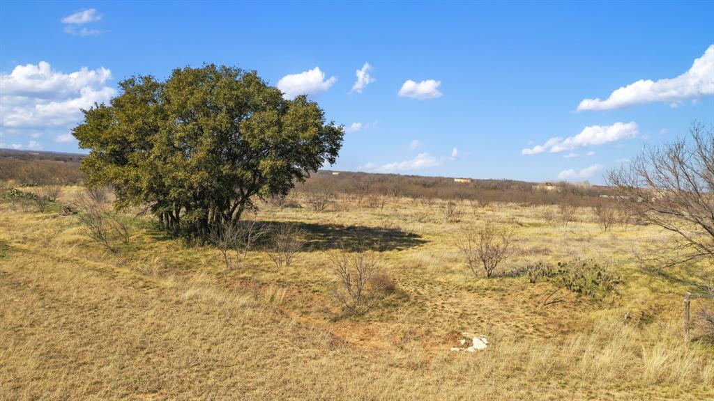 James Walker Surv Abs #988 - Land