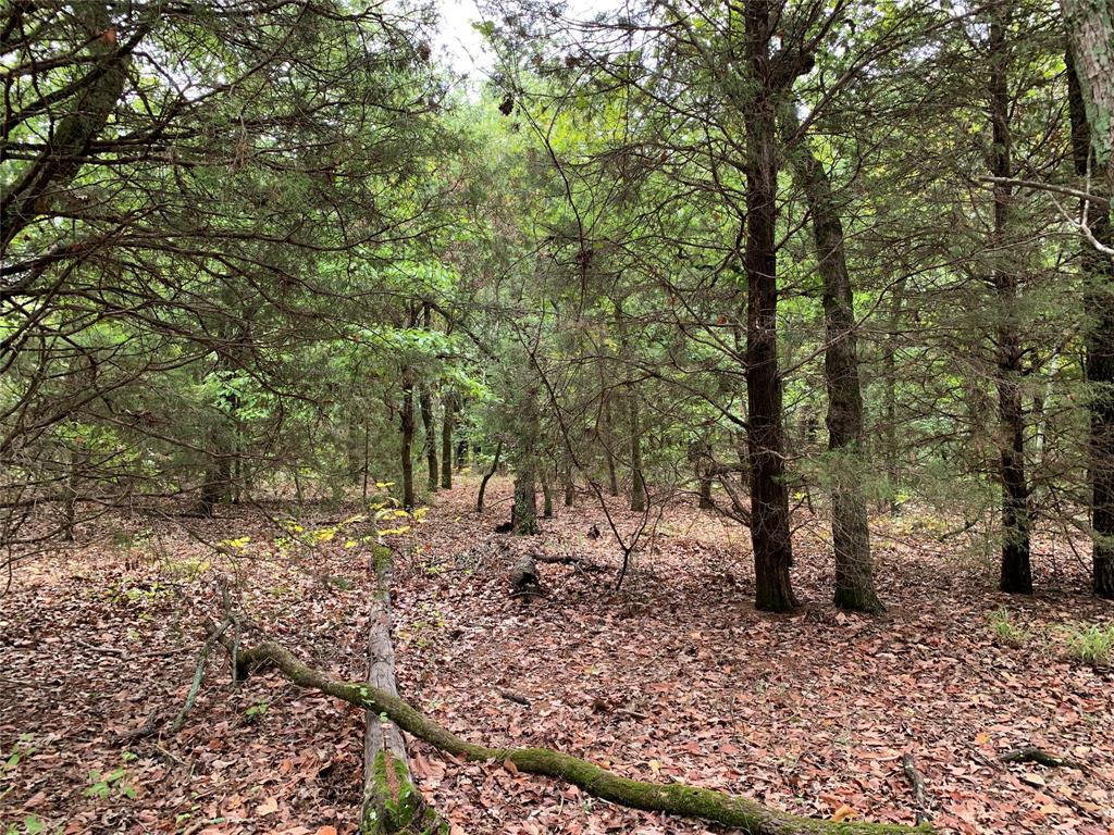 Hills of Athens - Land