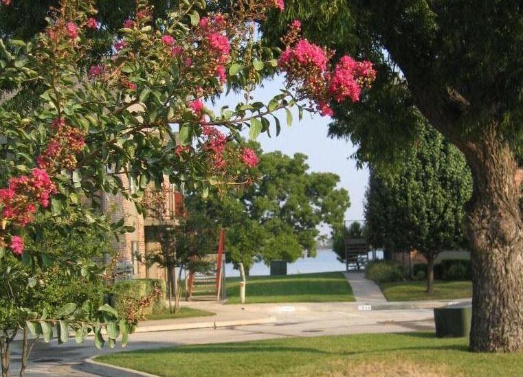 Signal Ridge #4 - Residential Lease