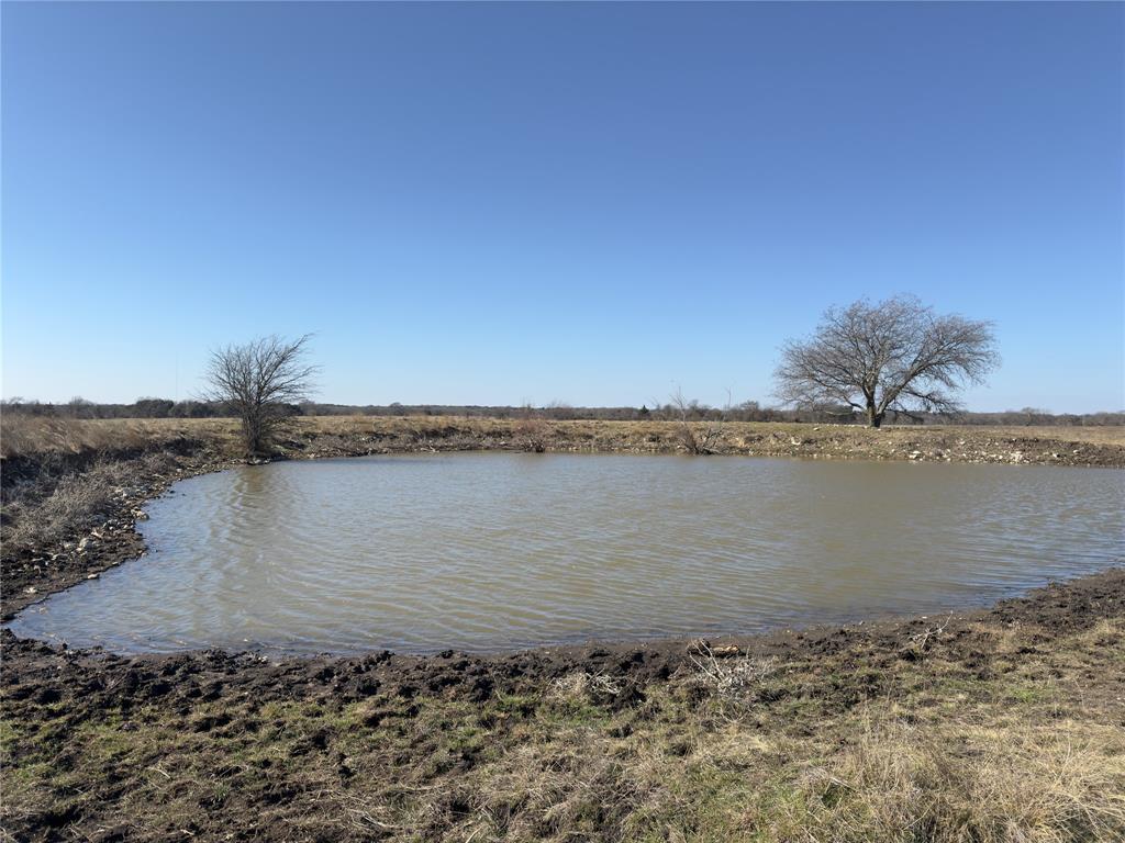 R F Millard Surv Abs #469 - Farm