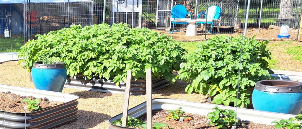 M SETZER - ABST 502 - Residential