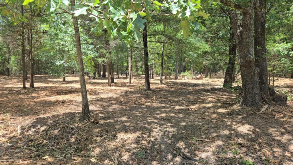 1 VZ County Road 4700