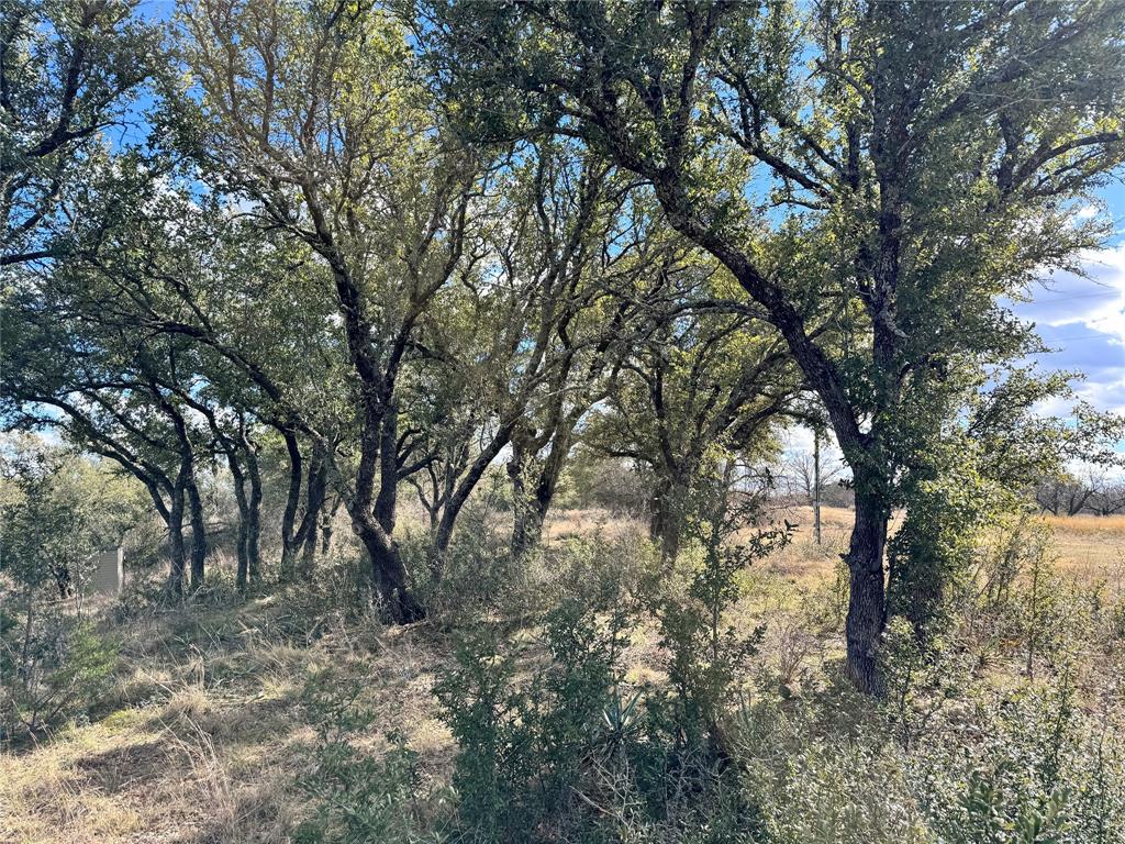 Kings Point Cove - Land