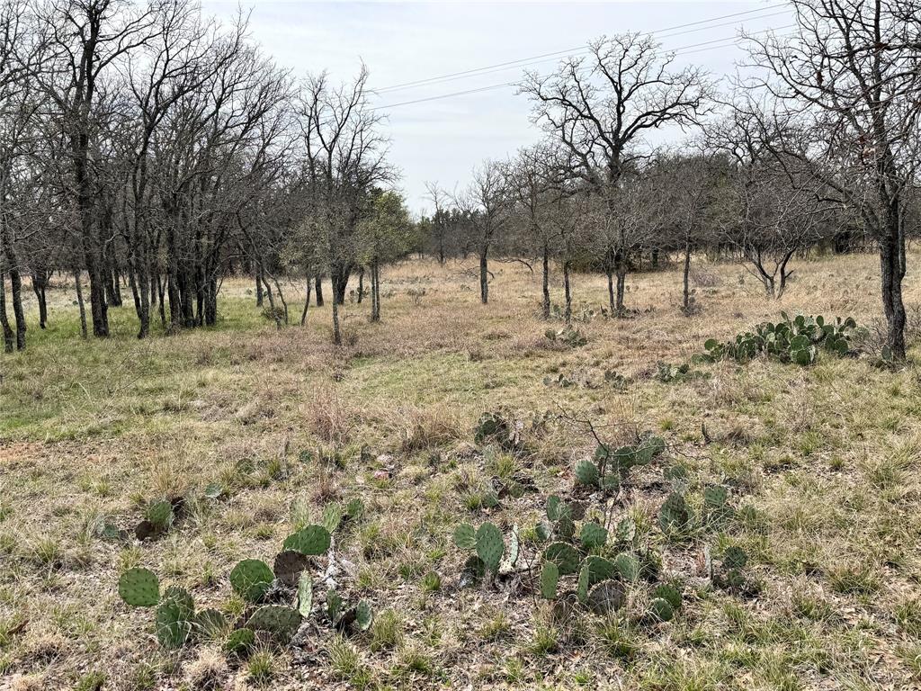 Kings Point Cove - Land