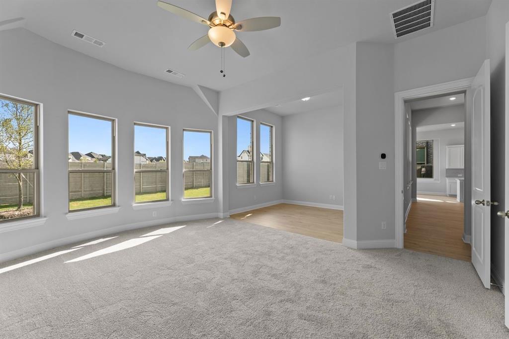 Painted Tree - Residential