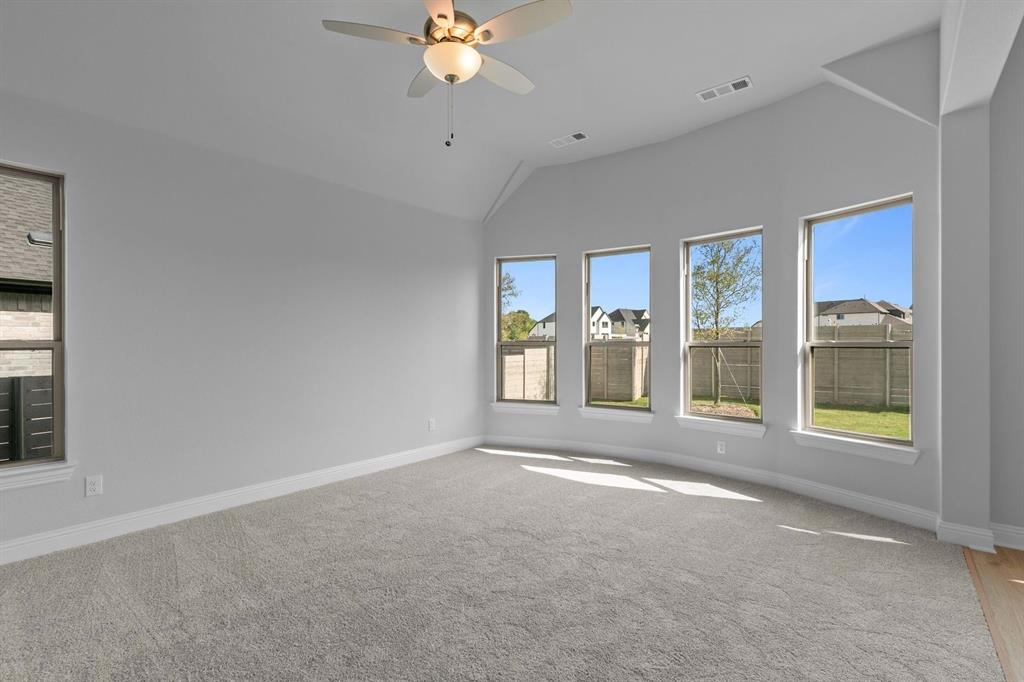 Painted Tree - Residential