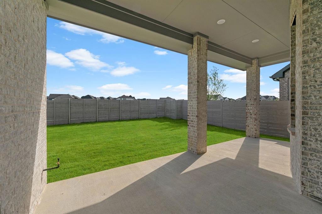 Painted Tree - Residential