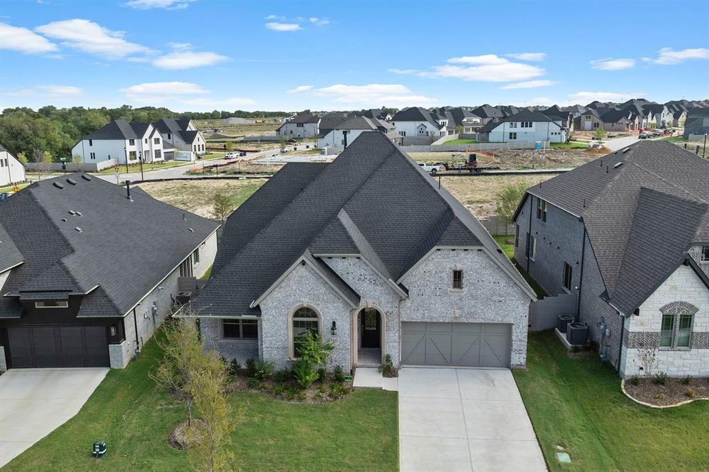 Painted Tree - Residential