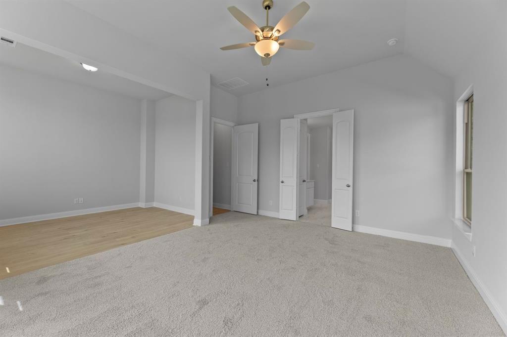 Painted Tree - Residential