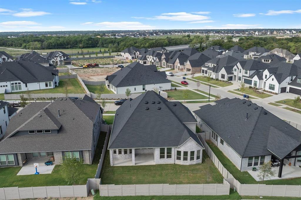 Painted Tree - Residential