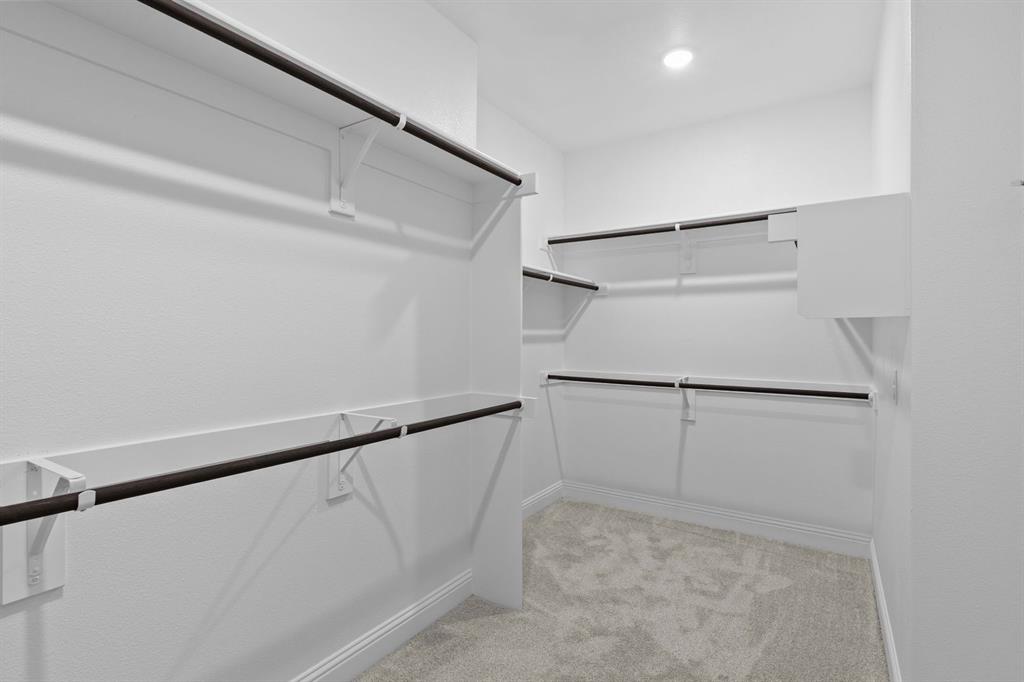 Painted Tree - Residential