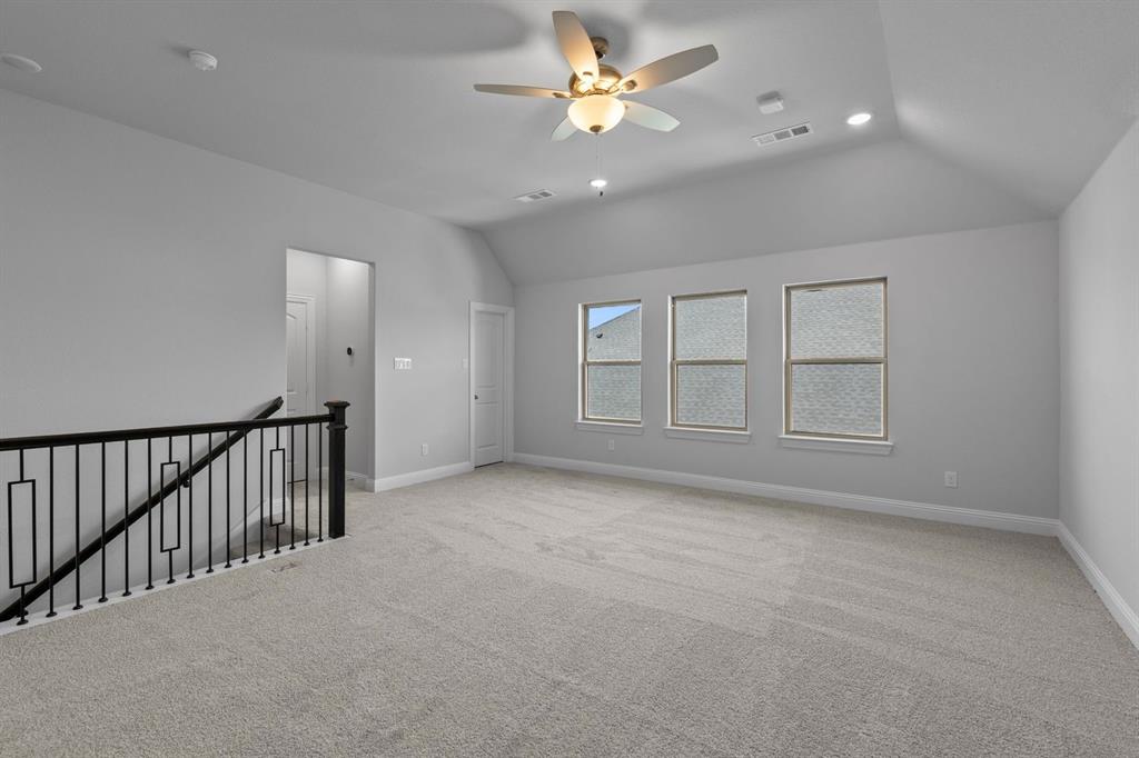 Painted Tree - Residential