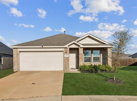 425 Sweet Shade Lane Princeton TX 75407