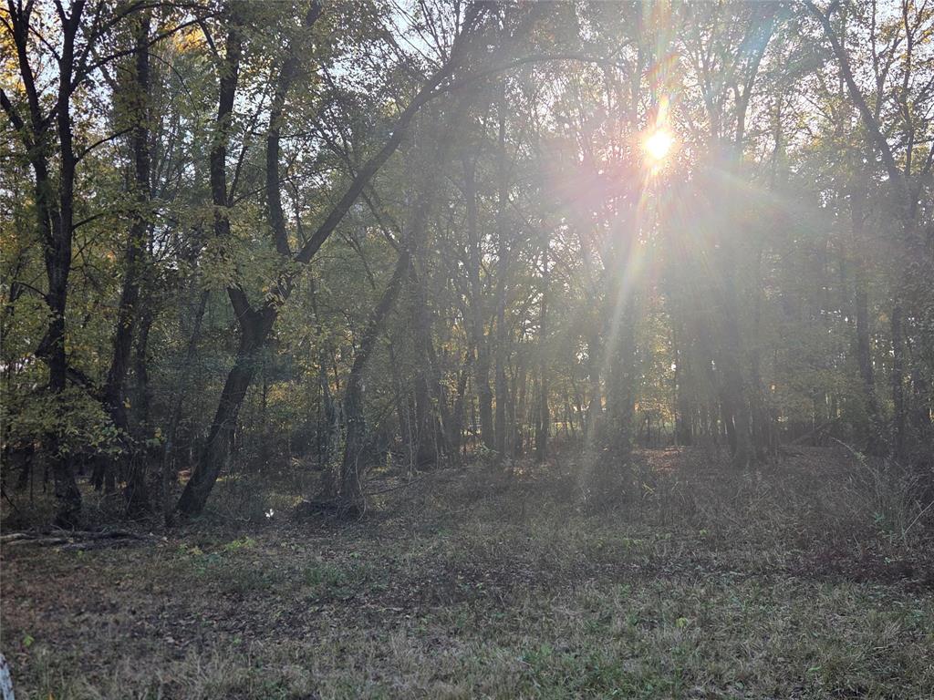 Joshua Bowerman Hr Surv Abs #5 - Land