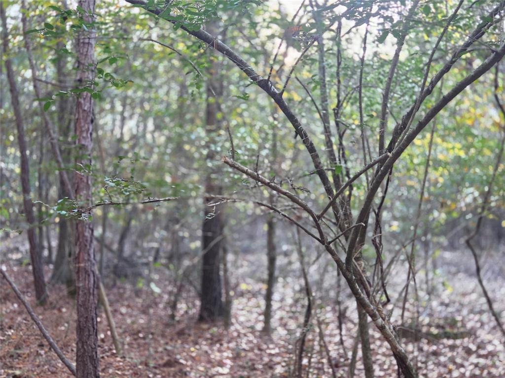 Joshua Bowerman Hr Surv Abs #5 - Land