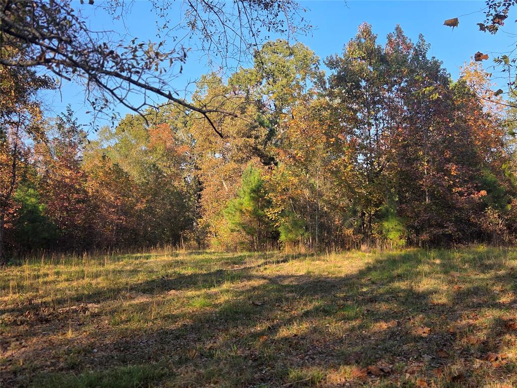 Joshua Bowerman Hr Surv Abs #5 - Land