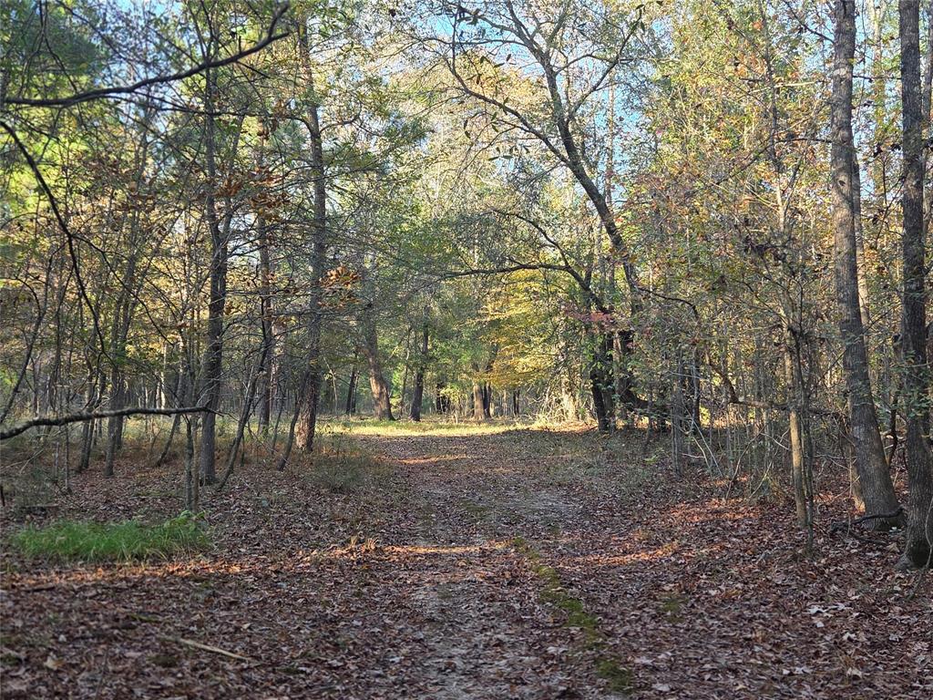 Joshua Bowerman Hr Surv Abs #5 - Land