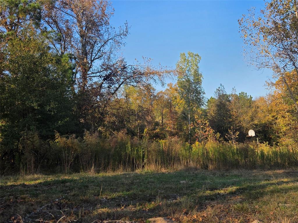 Joshua Bowerman Hr Surv Abs #5 - Land