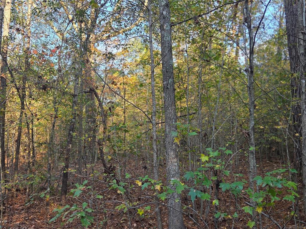 Joshua Bowerman Hr Surv Abs #5 - Land