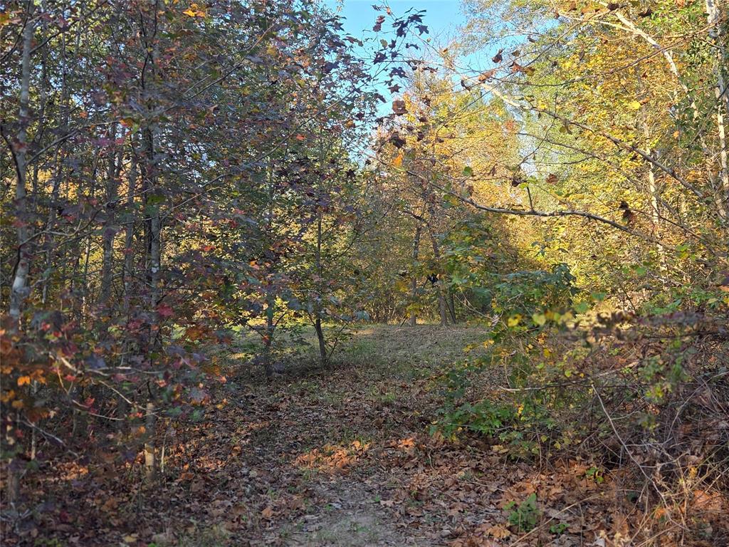 Joshua Bowerman Hr Surv Abs #5 - Land