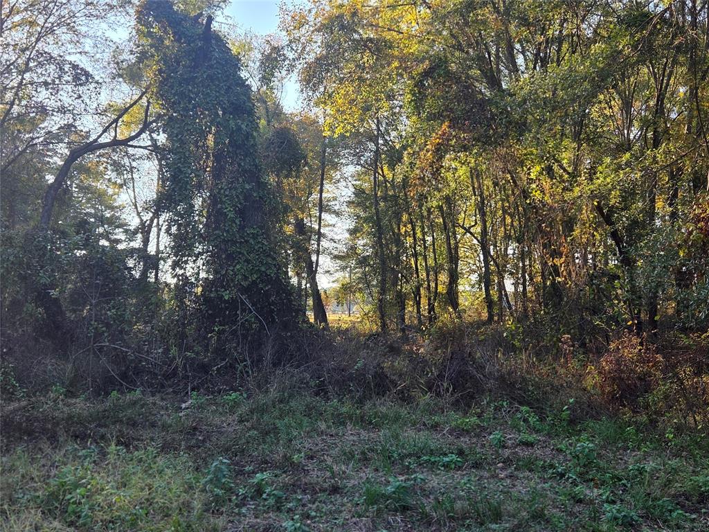 Joshua Bowerman Hr Surv Abs #5 - Land